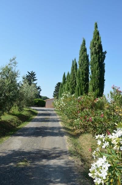 Agriturismo Rosa Dei Venti Villa Pomarance Buitenkant foto